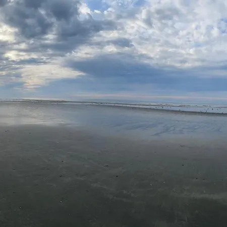 Lägenhet Ysermonde-brik 22