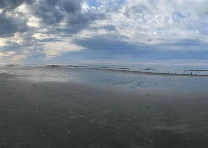 Appartement Ysermonde-brik 22